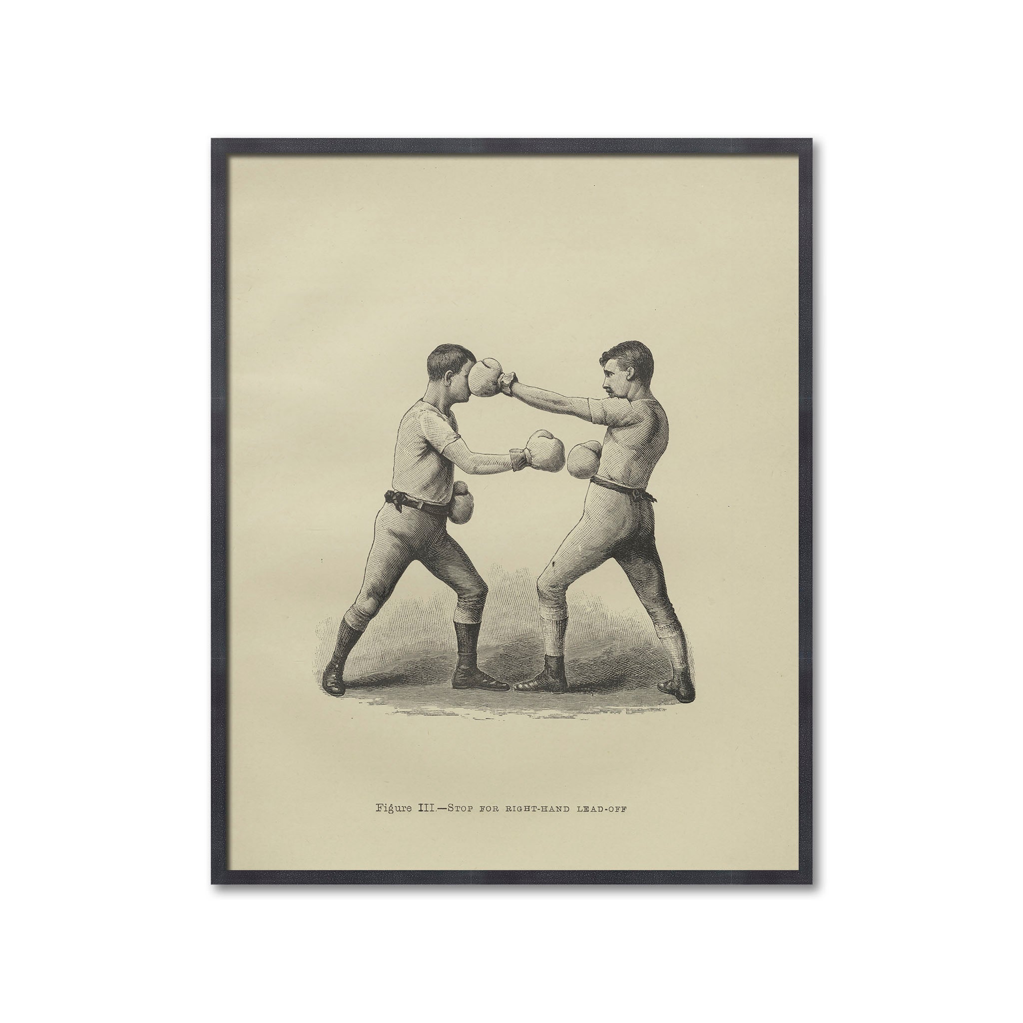 Side View of Young Boxer Training Hook on Pad Stock Image - Image of  defense, arts: 79668473