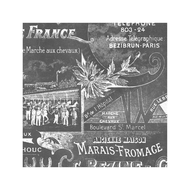 ARCHIVAL FRENCH VETERINARIAN Sign - Foundry