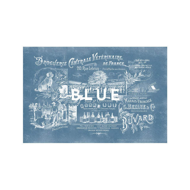ARCHIVAL FRENCH VETERINARIAN Sign - Foundry