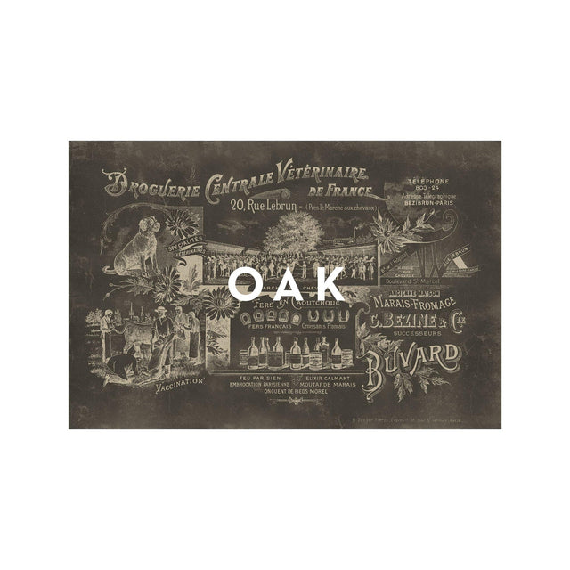 ARCHIVAL FRENCH VETERINARIAN Sign - Foundry