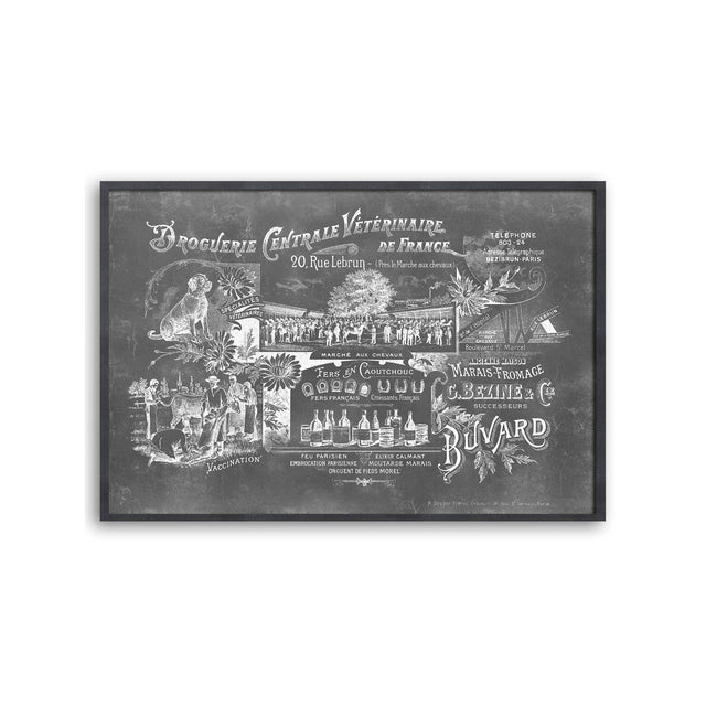 ARCHIVAL FRENCH VETERINARIAN Sign - Foundry