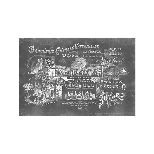 ARCHIVAL FRENCH VETERINARIAN Sign - Foundry