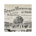 ARCHIVAL FRENCH VETERINARIAN Sign - Foundry