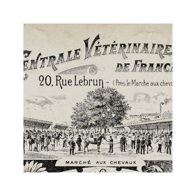 ARCHIVAL FRENCH VETERINARIAN Sign - Foundry