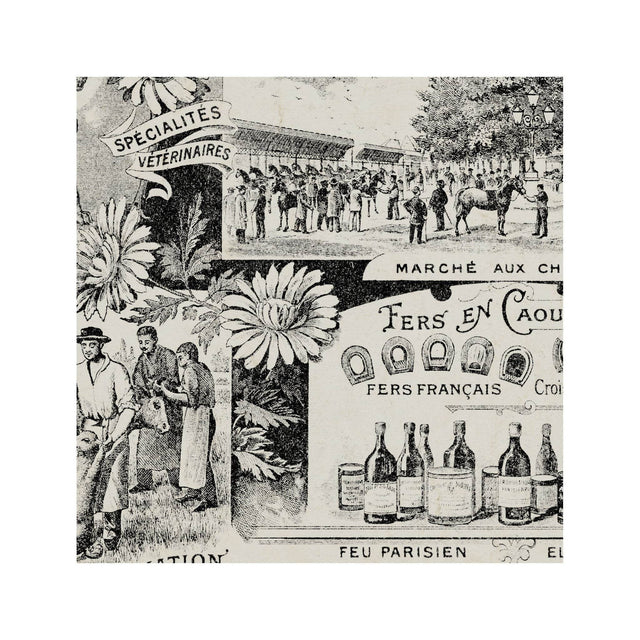 ARCHIVAL FRENCH VETERINARIAN Sign - Foundry