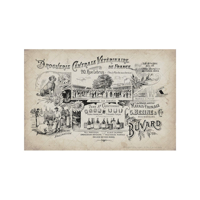 ARCHIVAL FRENCH VETERINARIAN Sign - Foundry