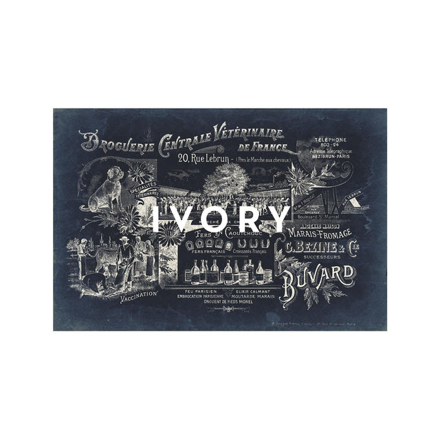 ARCHIVAL FRENCH VETERINARIAN Sign - Foundry
