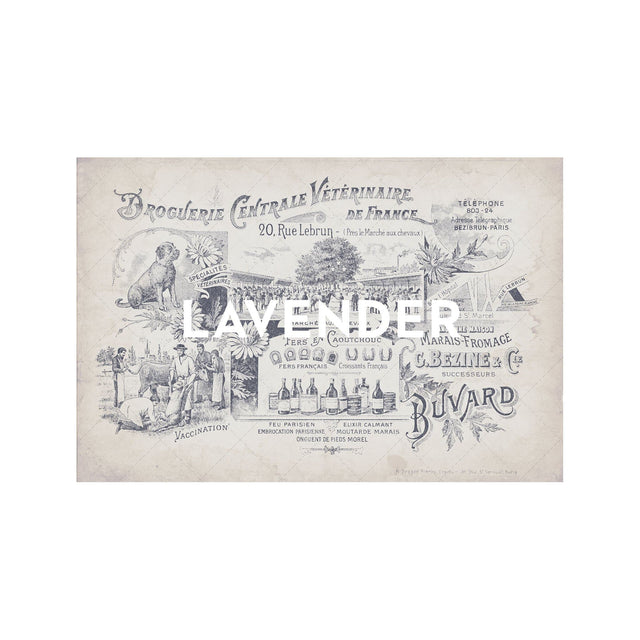 ARCHIVAL FRENCH VETERINARIAN Sign - Foundry