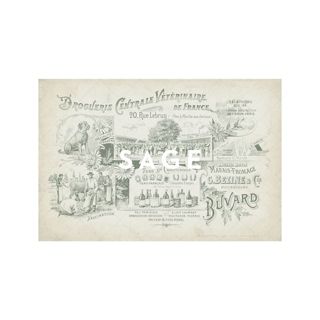 ARCHIVAL FRENCH VETERINARIAN Sign - Foundry