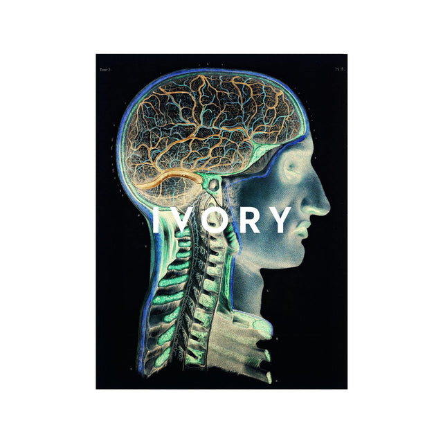 ATLAS of ANATOMY - HUMAN BRAIN and SPINE - Foundry