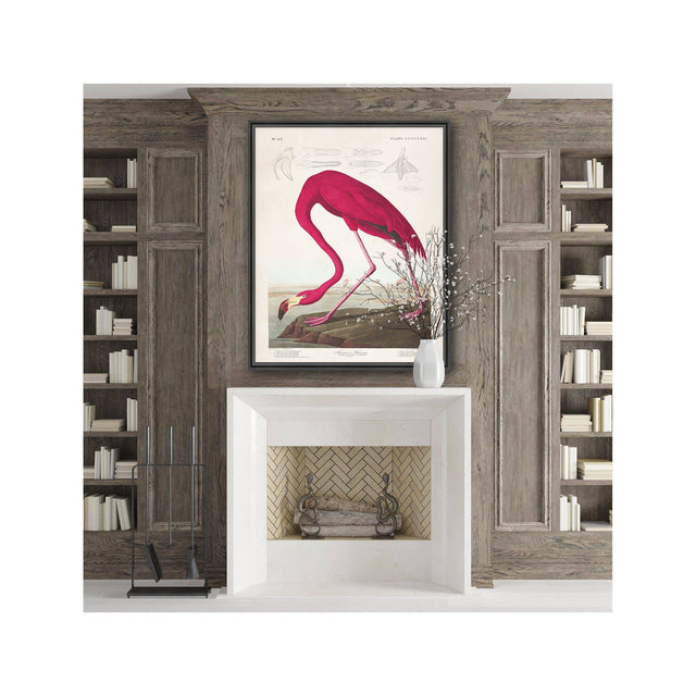 Birds of America - AMERICAN FLAMINGO by John James AUDOBON - Foundry