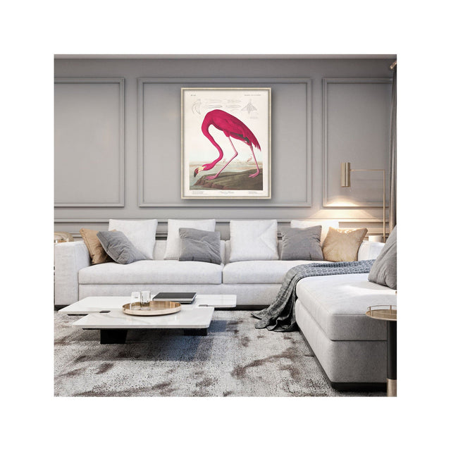 Birds of America - AMERICAN FLAMINGO by John James AUDOBON - Foundry