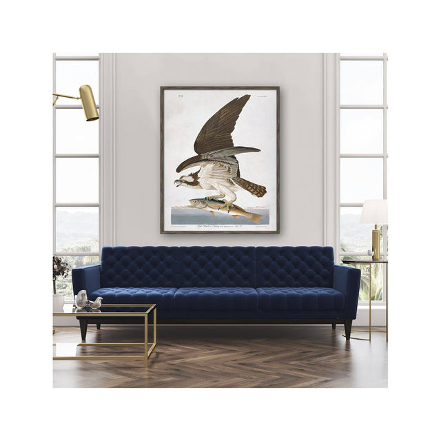 Birds of America - OSPREY by John James AUDOBON - Foundry