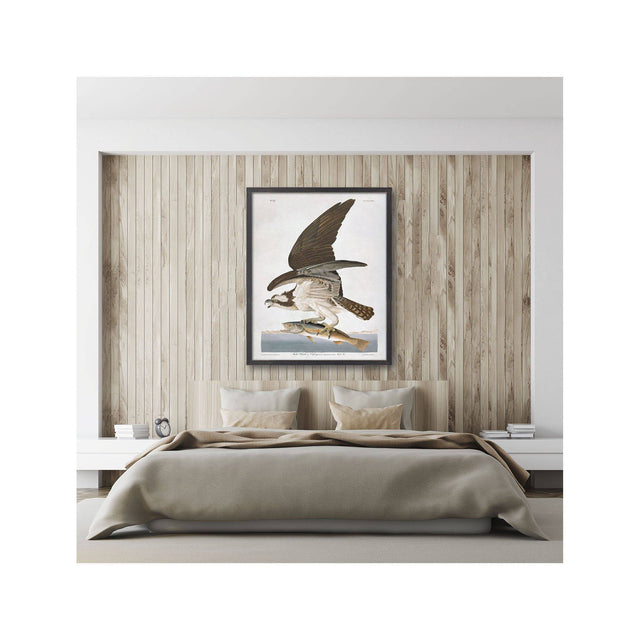 Birds of America - OSPREY by John James AUDOBON - Foundry