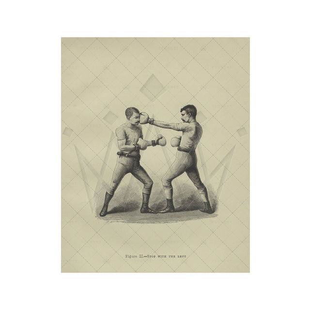 Boxing Illustration - Figure II - STOP with the LEFT - Foundry