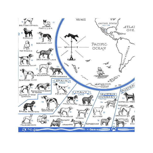 DOG of all NATIONS Chart - Foundry