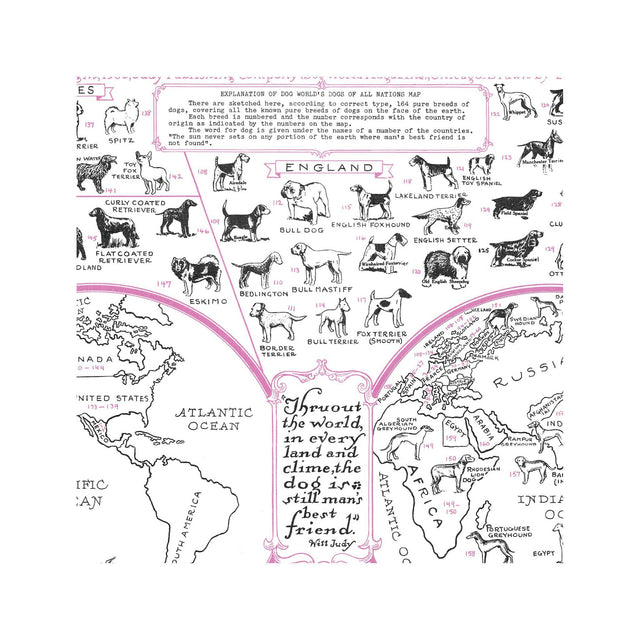 DOG of all NATIONS Chart - Foundry