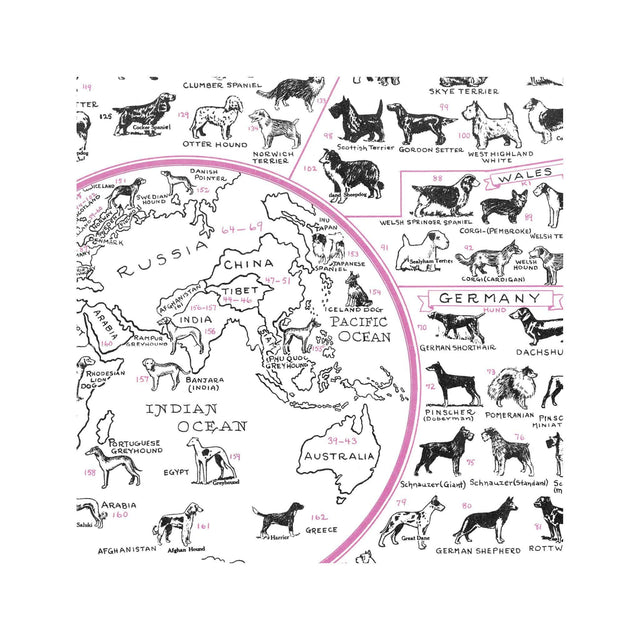 DOG of all NATIONS Chart - Foundry