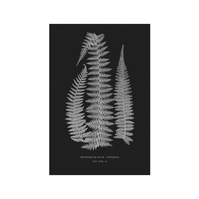 FERN ART: 1859 ENGLISH FERN #10 - Foundry