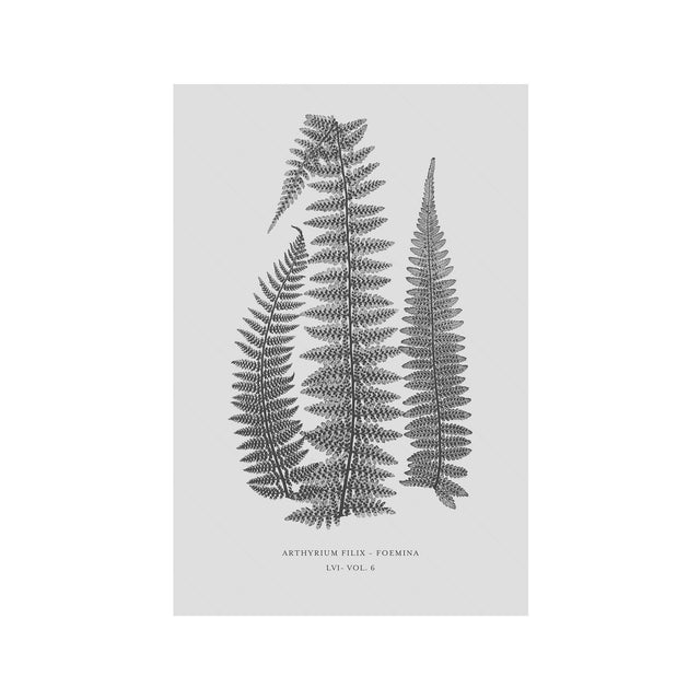 FERN ART: 1859 ENGLISH FERN #10 - Foundry