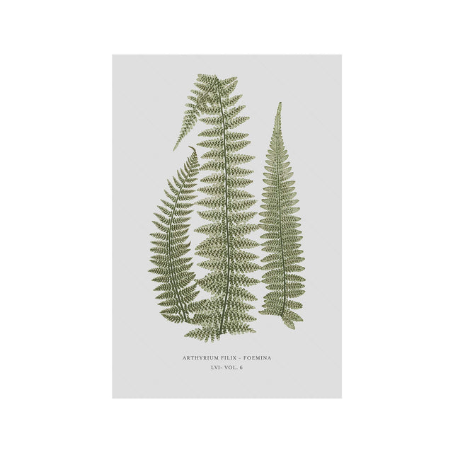 FERN ART: 1859 ENGLISH FERN #10 - Foundry