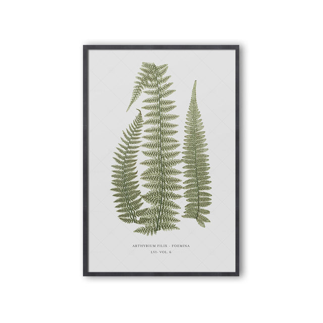 FERN ART: 1859 ENGLISH FERN #10 - Foundry