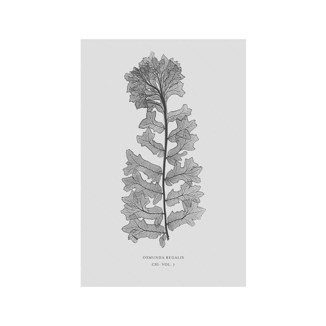 FERN ART: 1859 ENGLISH FERN #13 - Foundry