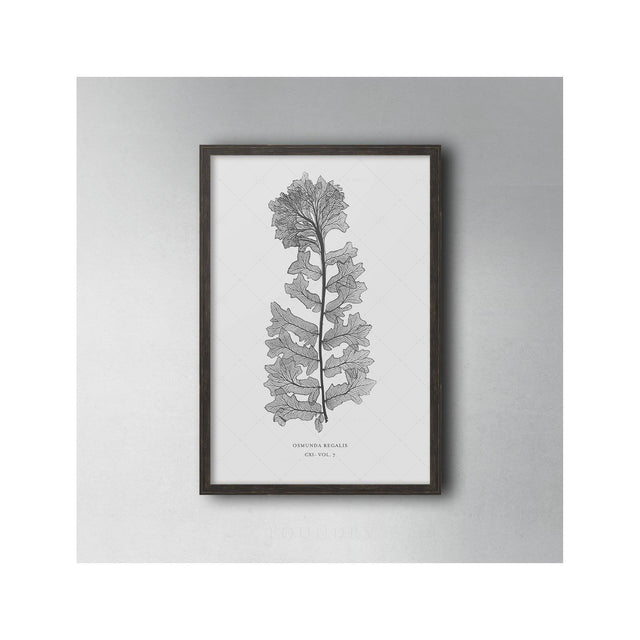 FERN ART: 1859 ENGLISH FERN #13 - Foundry