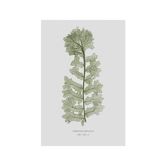 FERN ART: 1859 ENGLISH FERN #13 - Foundry