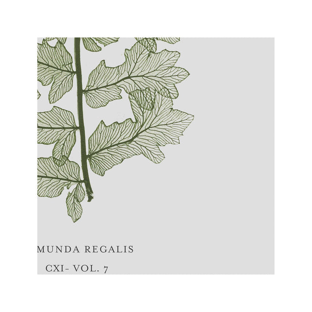FERN ART: 1859 ENGLISH FERN #13 - Foundry