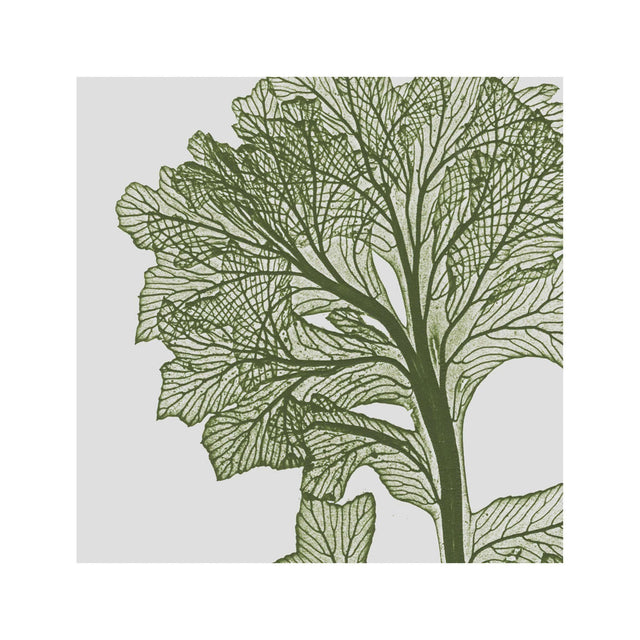 FERN ART: 1859 ENGLISH FERN #13 - Foundry