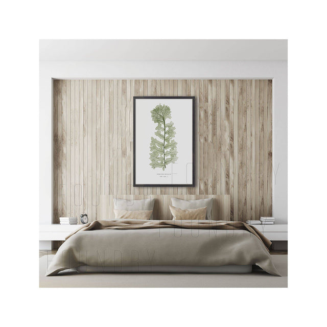 FERN ART: 1859 ENGLISH FERN #13 - Foundry