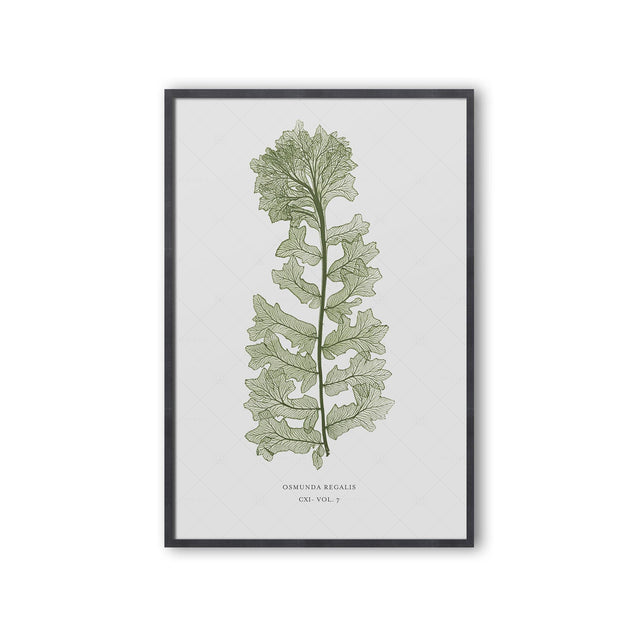 FERN ART: 1859 ENGLISH FERN #13 - Foundry