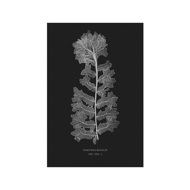FERN ART: 1859 ENGLISH FERN #13 - Foundry