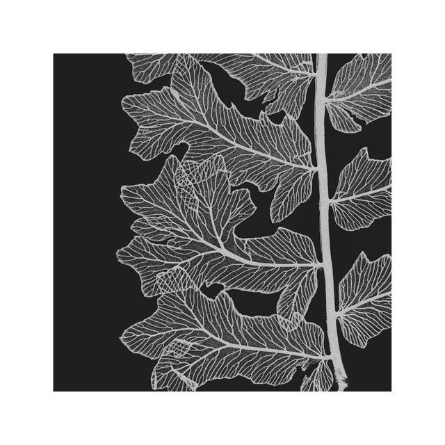 FERN ART: 1859 ENGLISH FERN #13 - Foundry