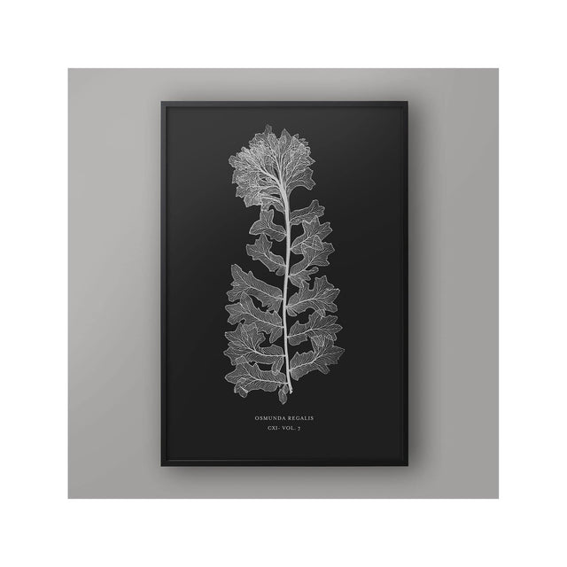 FERN ART: 1859 ENGLISH FERN #13 - Foundry