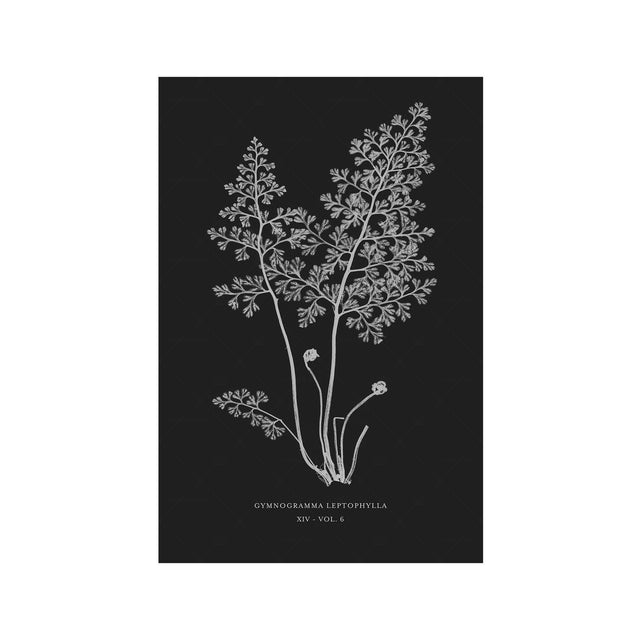 FERN ART: 1859 ENGLISH FERN #14 - Foundry