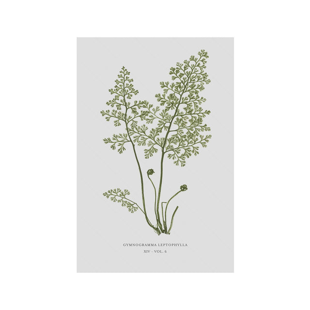 FERN ART: 1859 ENGLISH FERN #14 - Foundry