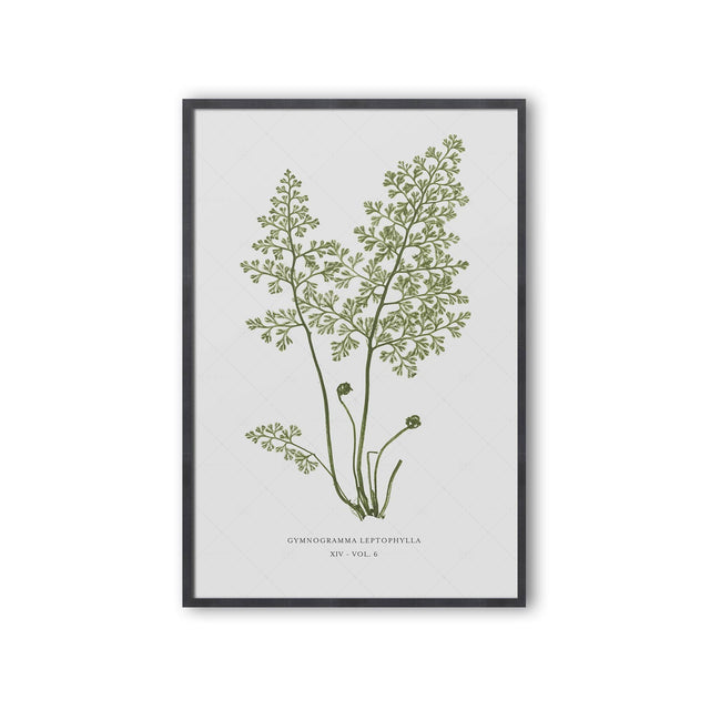 FERN ART: 1859 ENGLISH FERN #14 - Foundry
