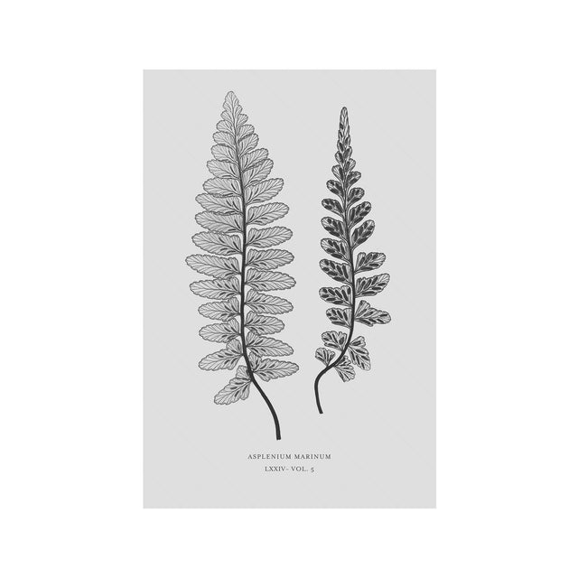 FERN ART: 1859 ENGLISH FERN #15 - Foundry