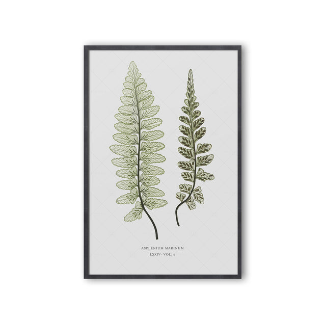 FERN ART: 1859 ENGLISH FERN #15 - Foundry