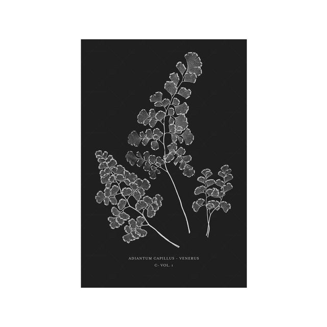 FERN ART: 1859 ENGLISH FERN #16 - Foundry