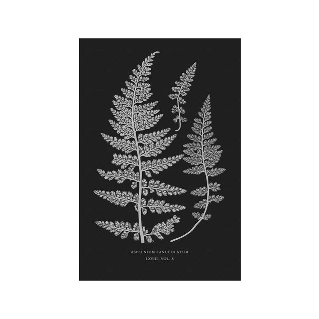 FERN ART: 1859 ENGLISH FERN #17 - Foundry