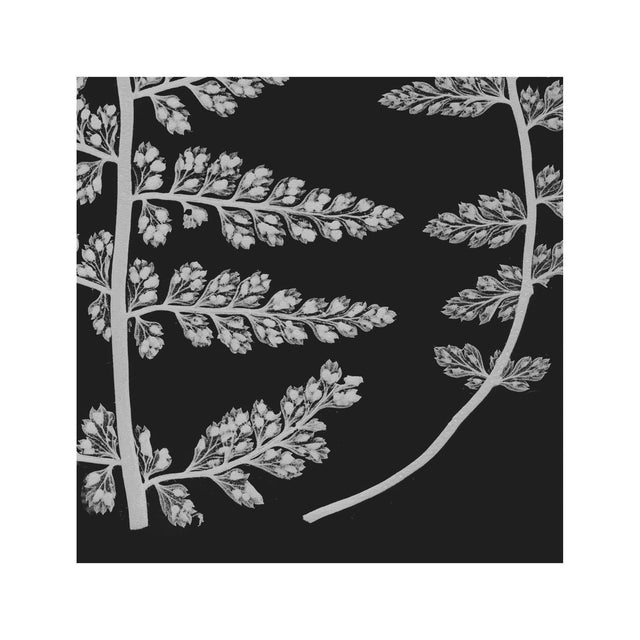 FERN ART: 1859 ENGLISH FERN #17 - Foundry