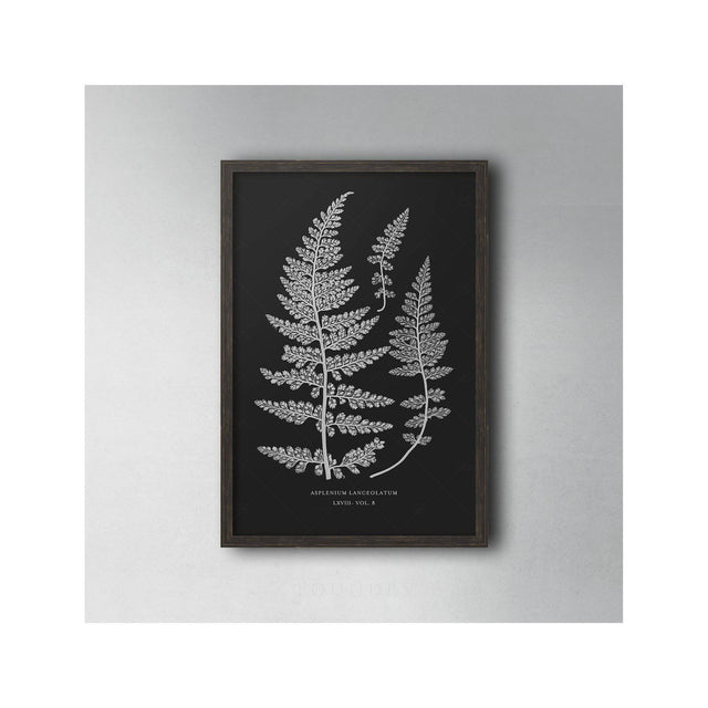 FERN ART: 1859 ENGLISH FERN #17 - Foundry