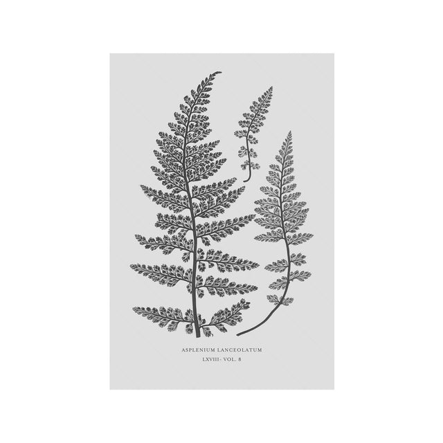 FERN ART: 1859 ENGLISH FERN #17 - Foundry