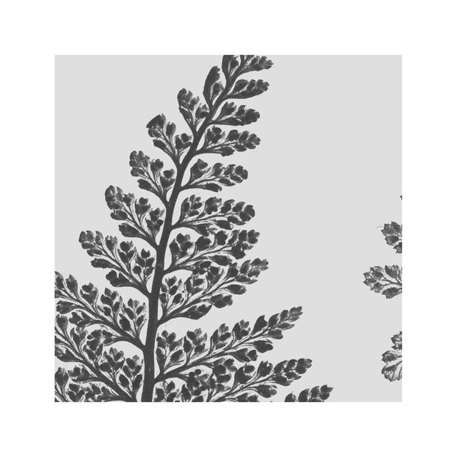 FERN ART: 1859 ENGLISH FERN #17 - Foundry