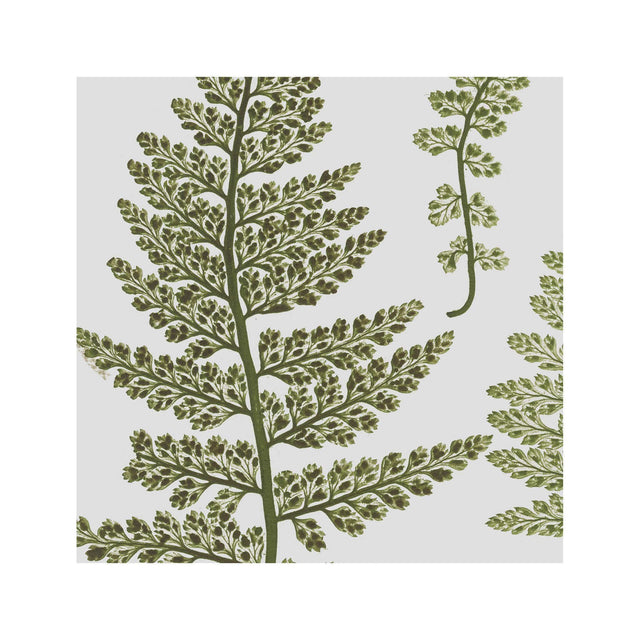 FERN ART: 1859 ENGLISH FERN #17 - Foundry