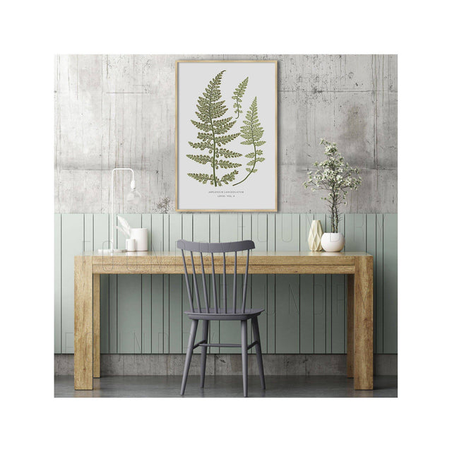 FERN ART: 1859 ENGLISH FERN #17 - Foundry