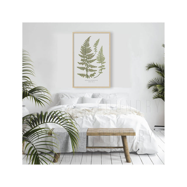 FERN ART: 1859 ENGLISH FERN #17 - Foundry